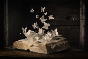 acrylic-print-lepidopterology