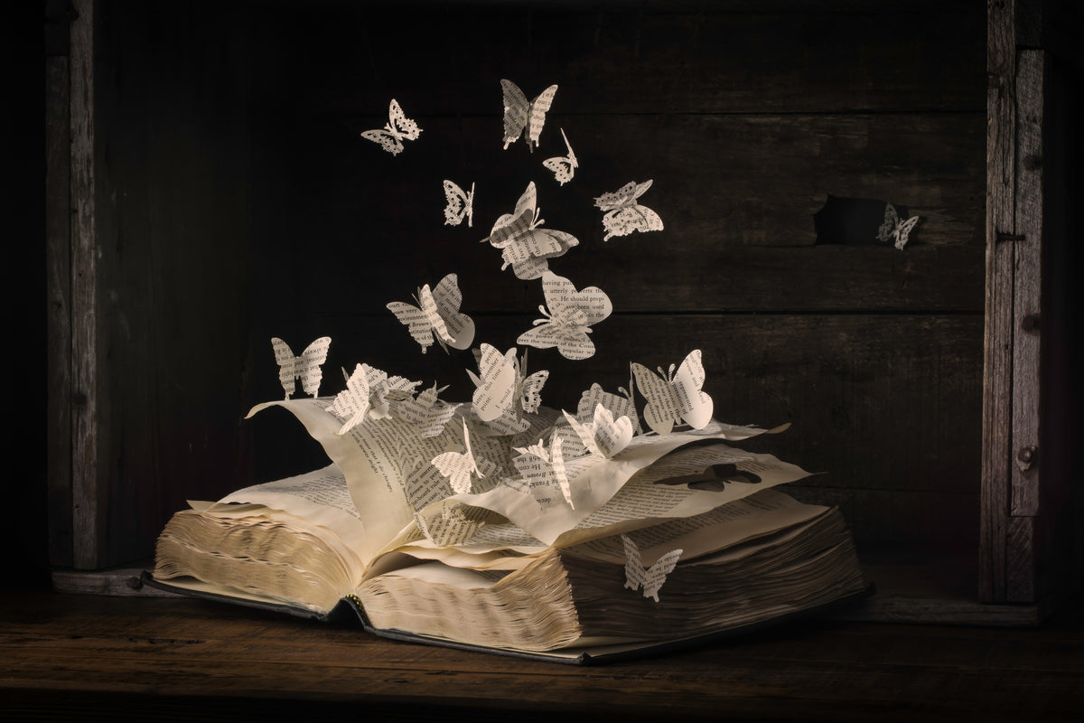 acrylic-print-lepidopterology