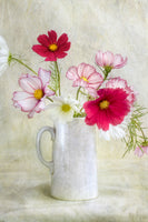 aluminium-print-cosmos-carnival
