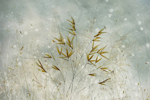 framedcanvas-print-wintertime-x