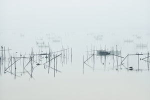 acrylic-print-inba-x