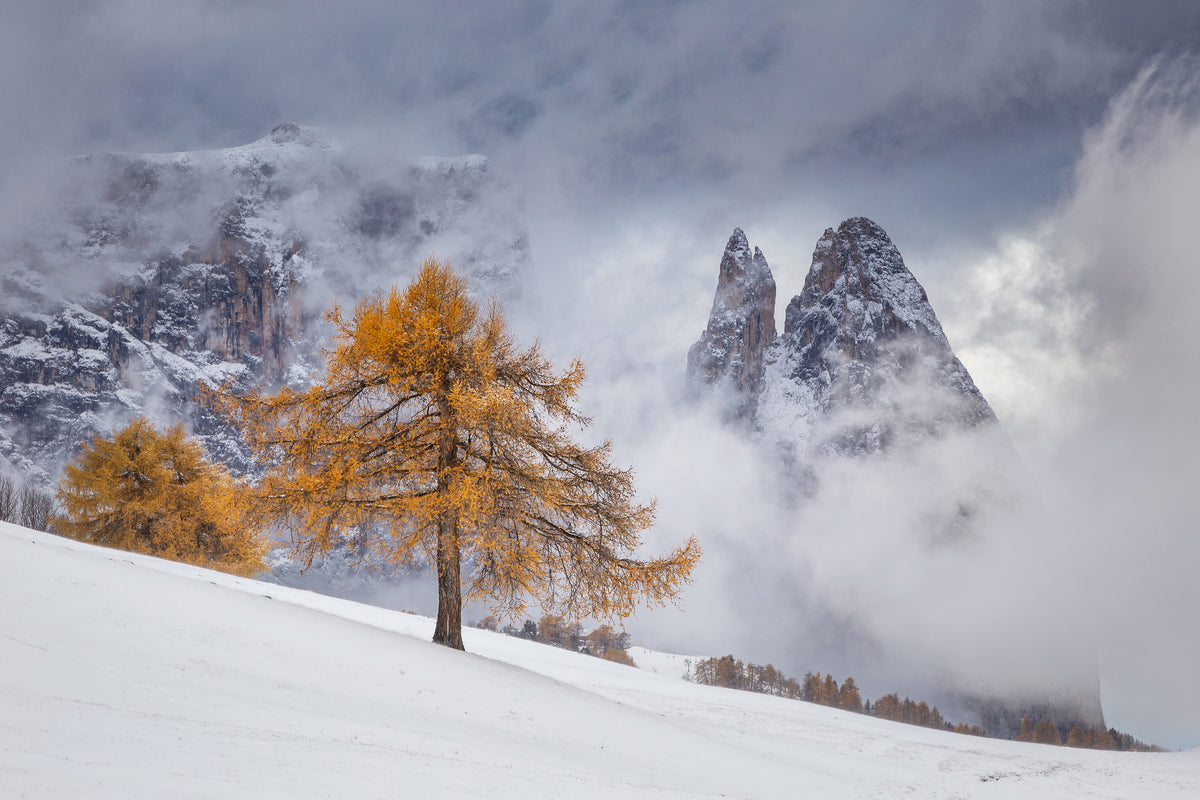 canvas-print-between-seasons-x