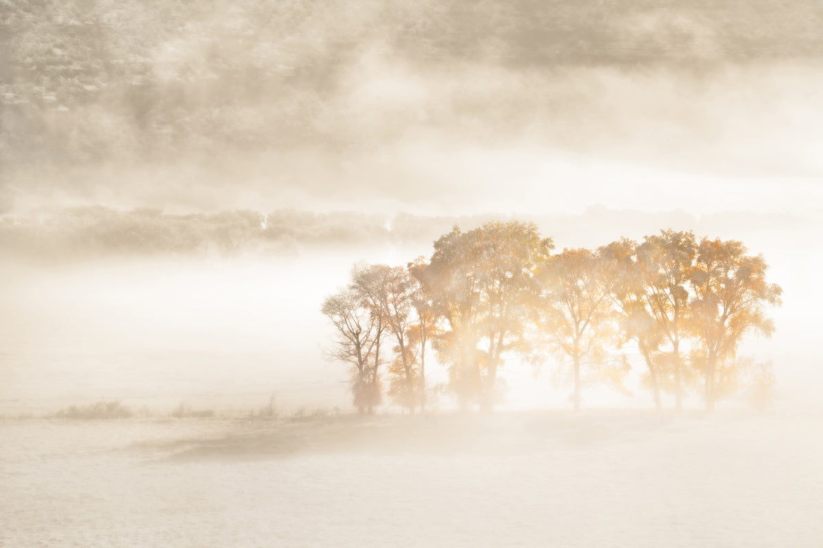 canvas-print-autumn-dreams