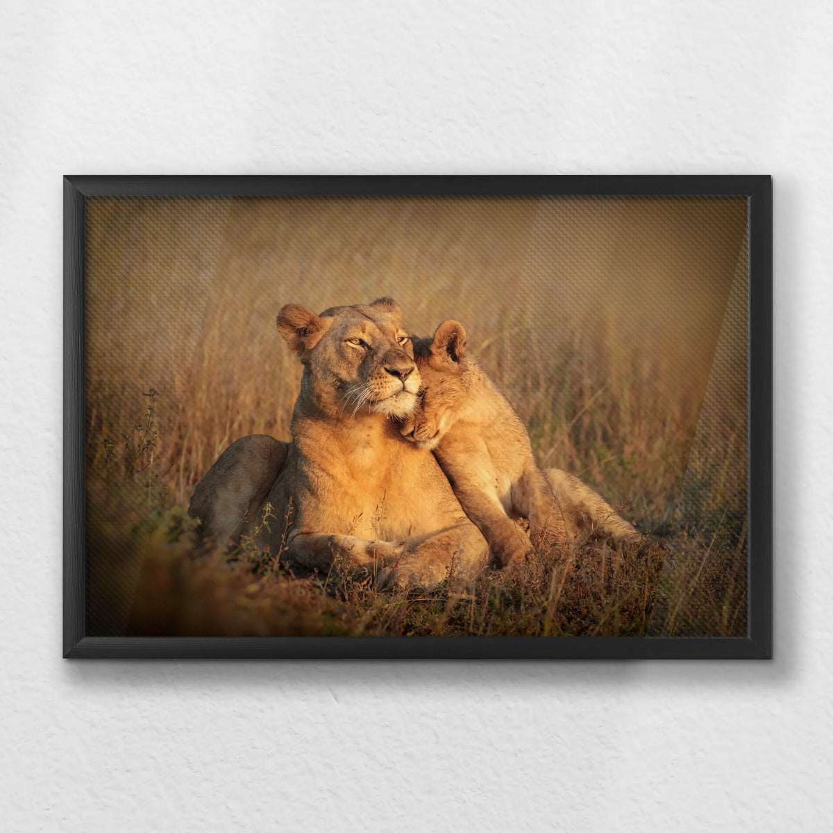 LWB060W040