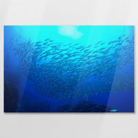 AC-075W050
