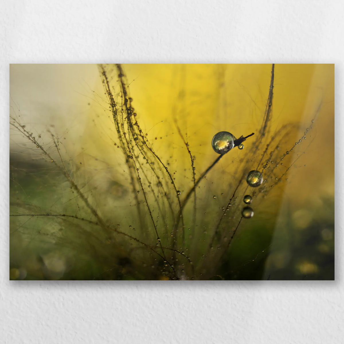 AL-030W020