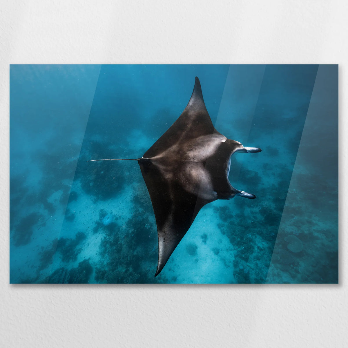 AC-075W050