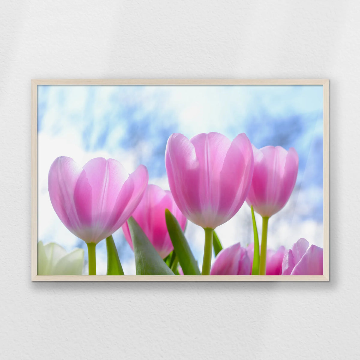 PN-093W062