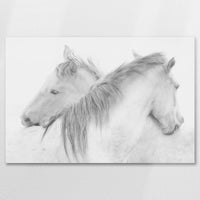 AC-075W050