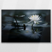 LW-075W050
