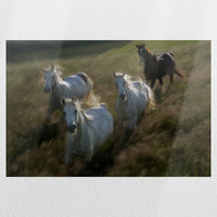 PO-030W020