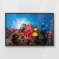 PK-093W062