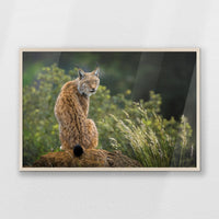 PN-093W062