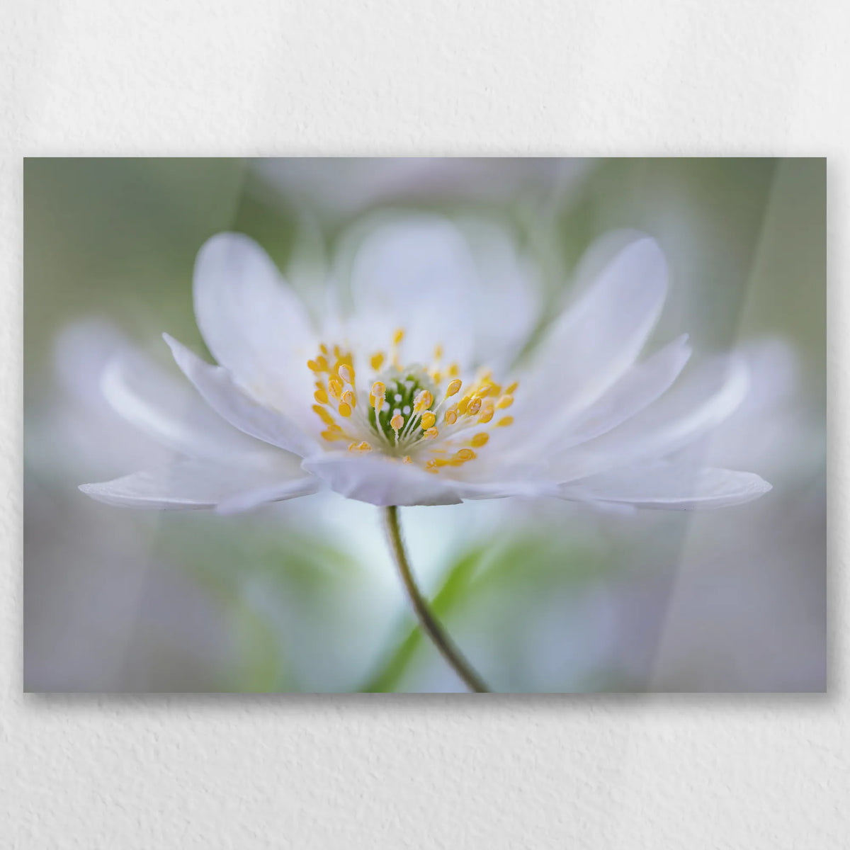 AL-045W030