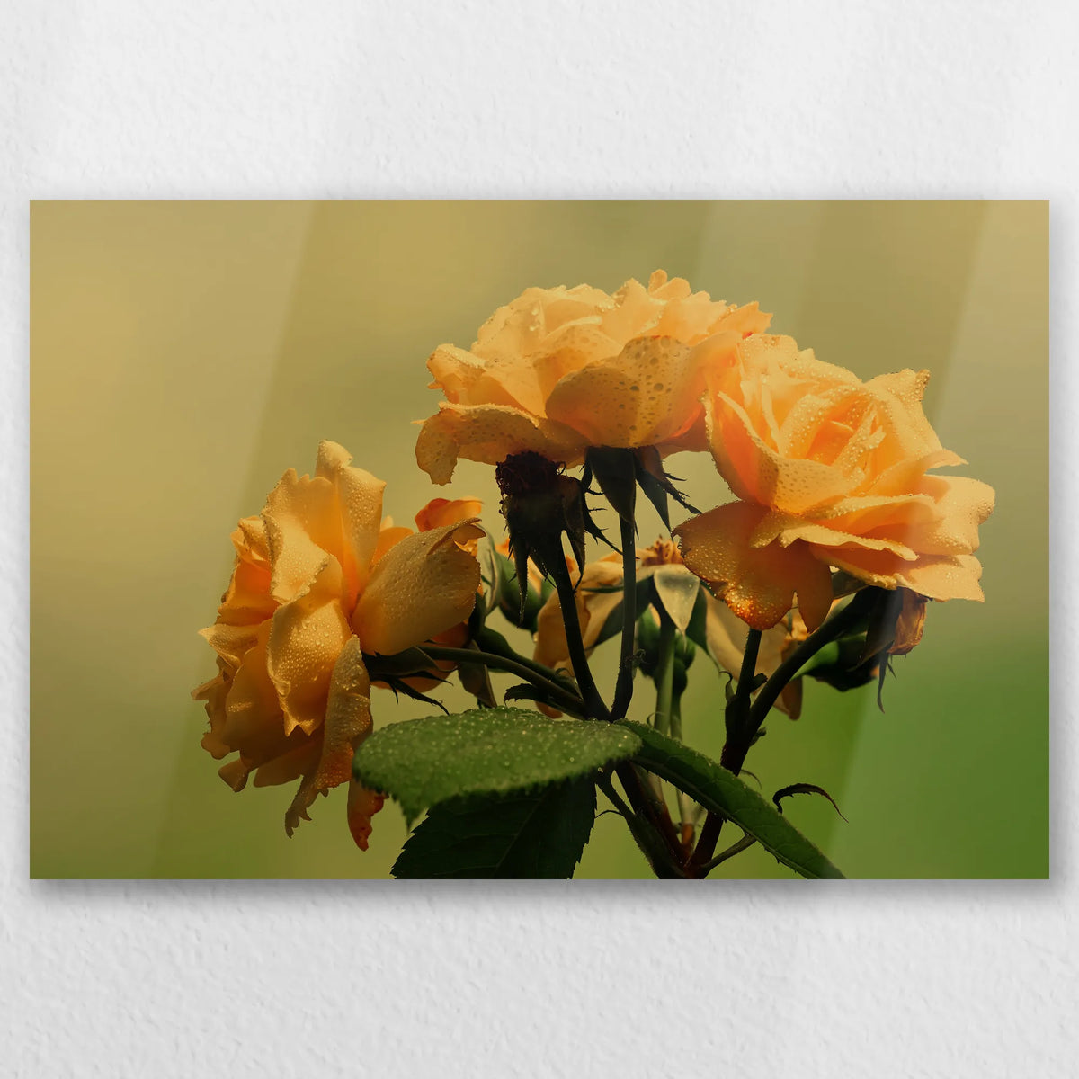 AL-045W030