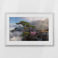 PWP093W062