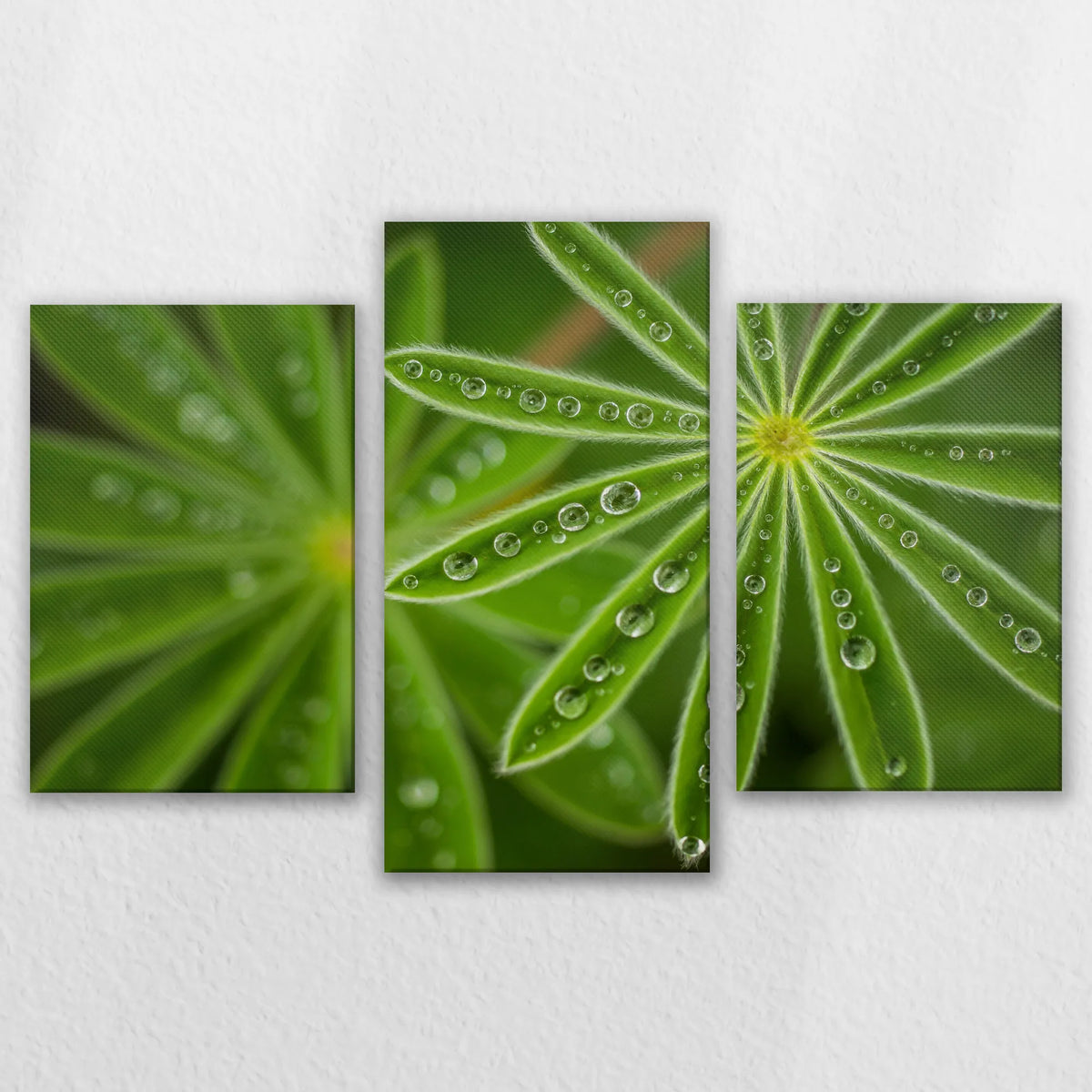 LW-120T080