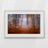PNP093W062
