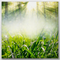 LW-040W040