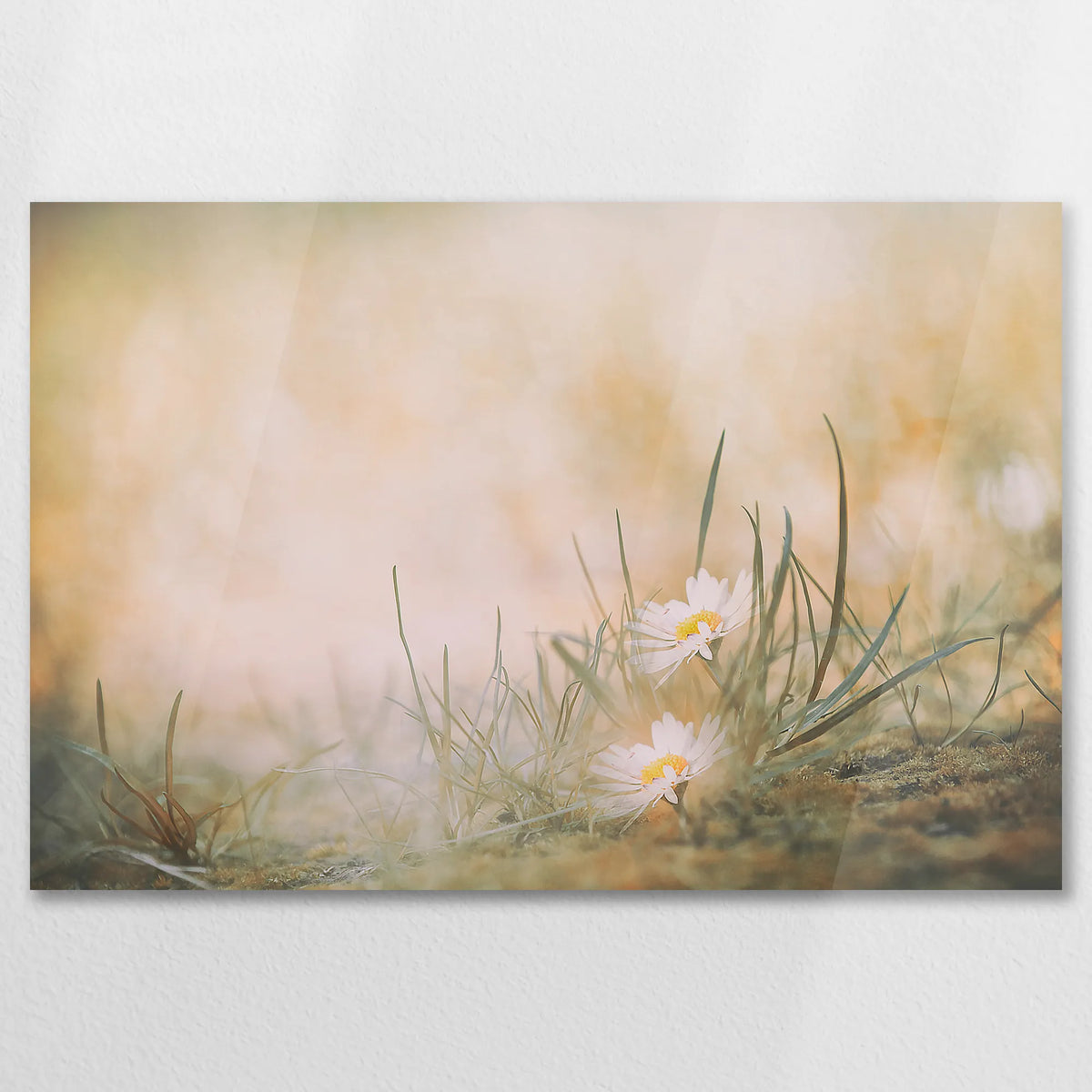 AC-075W050