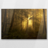 AL-030W020