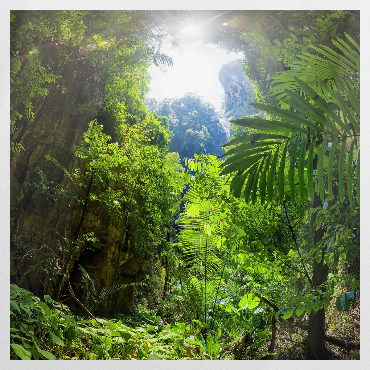 PO-070W070