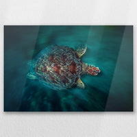 AL-045W030