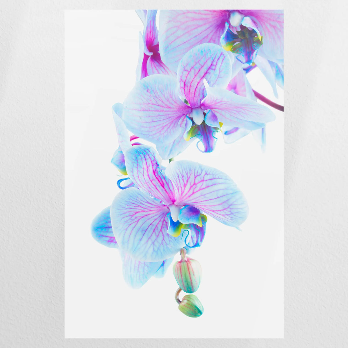 PO-080W120