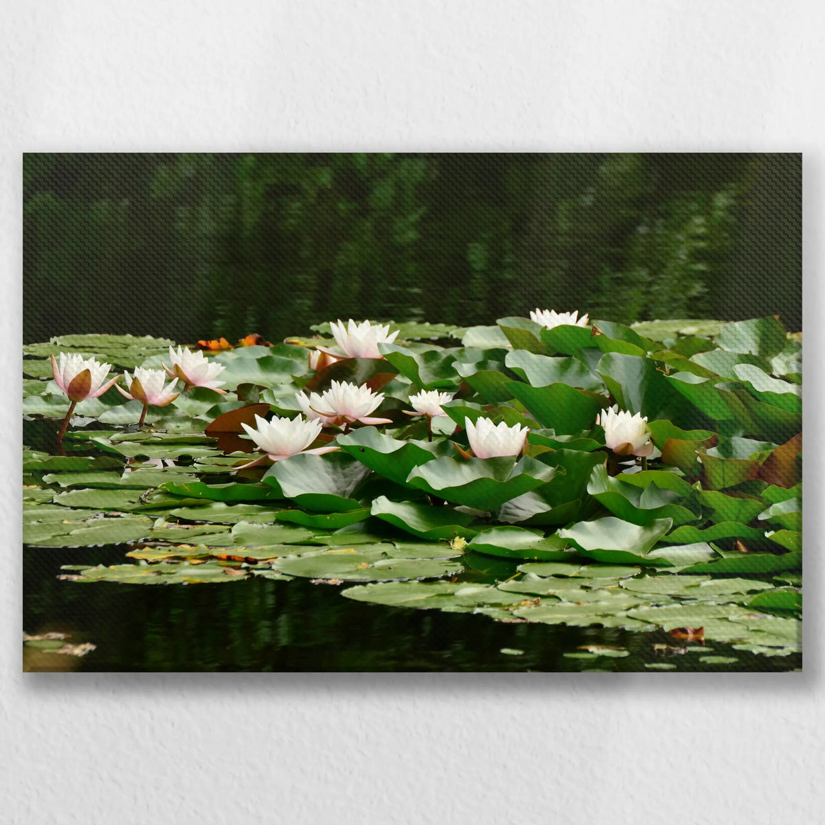 LW-045W030