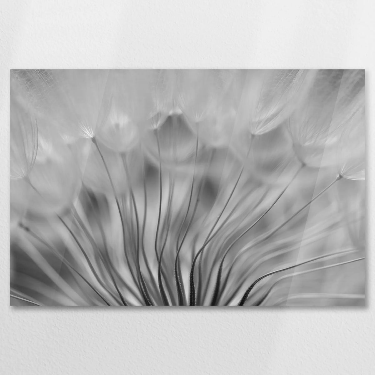 AC-075W050