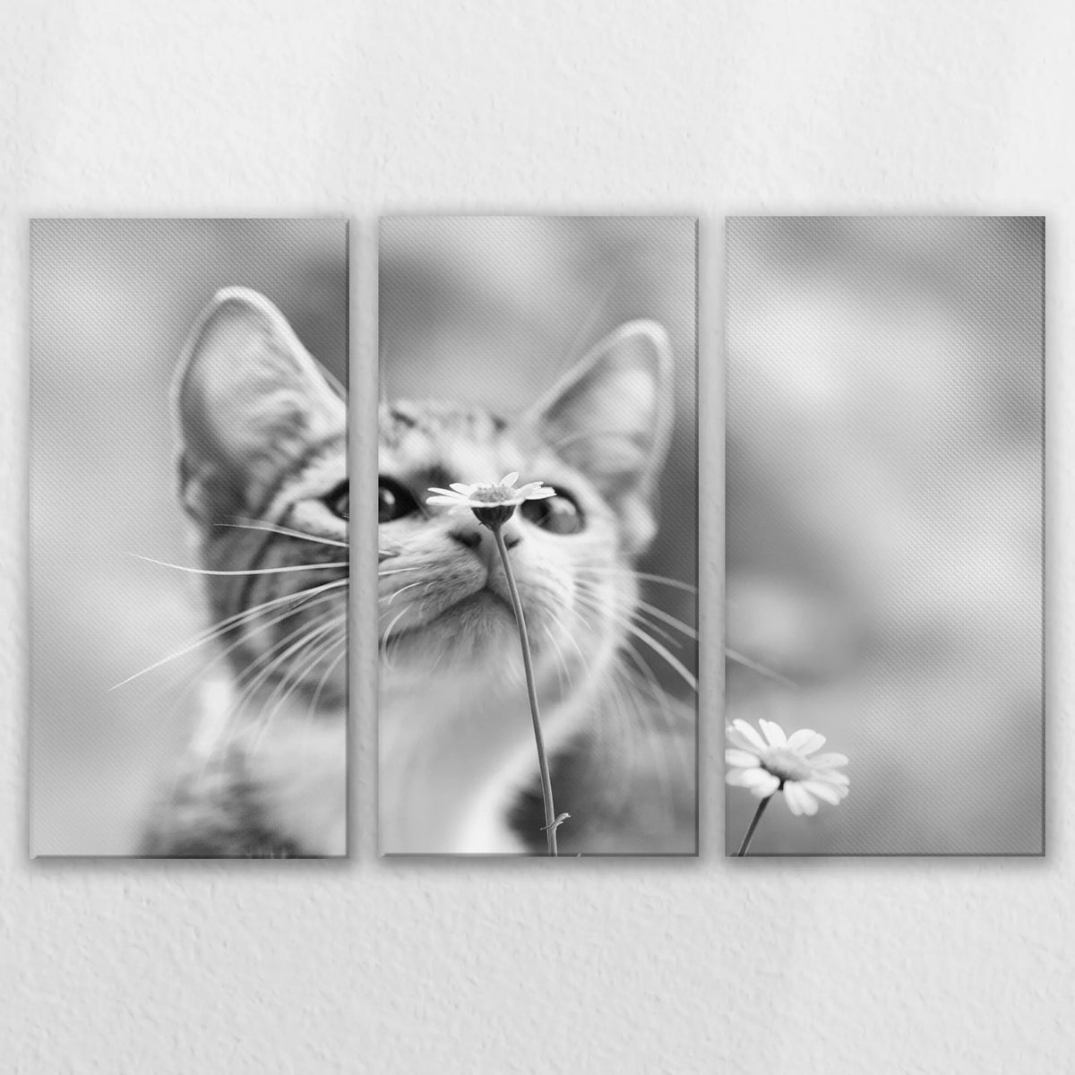 LW-120R080