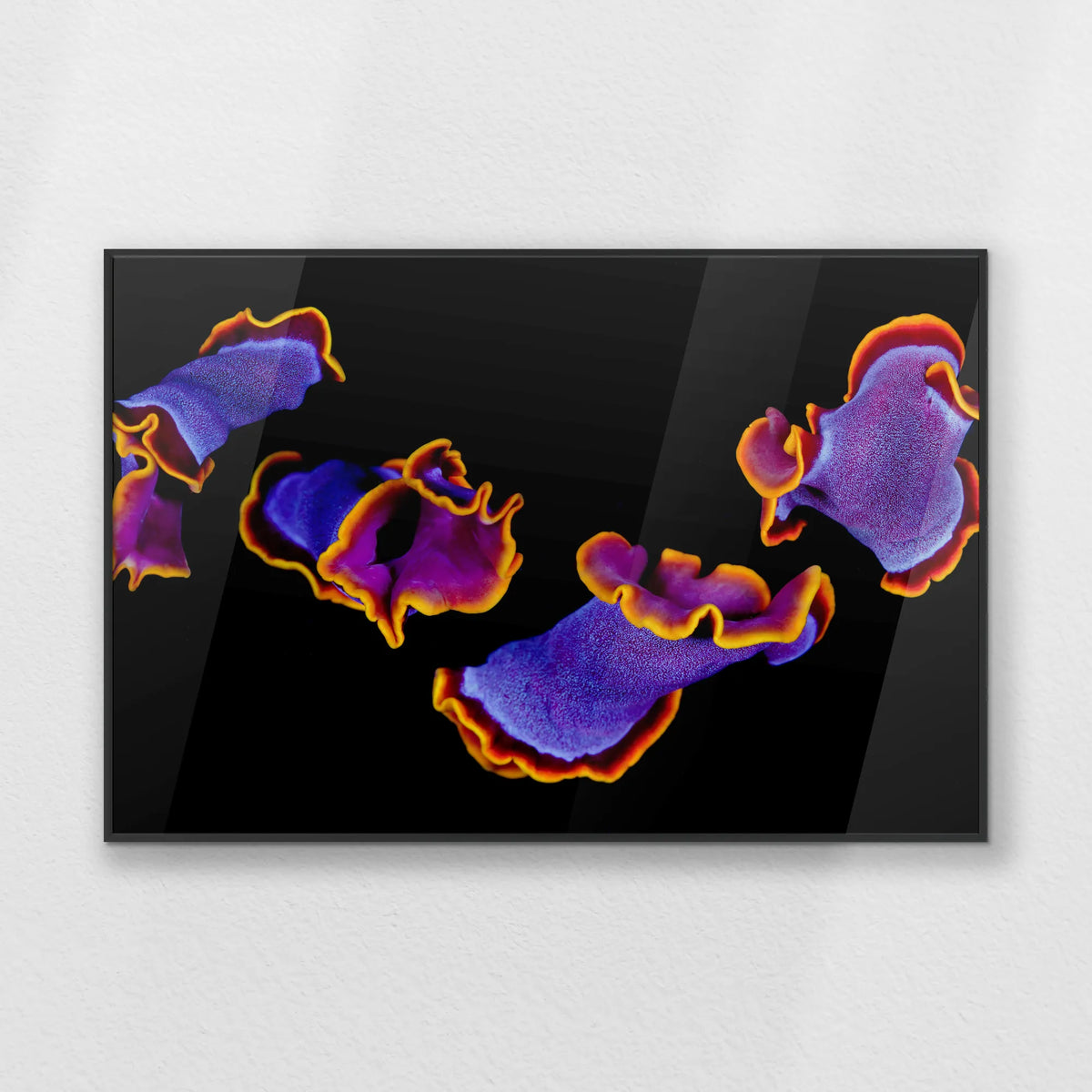 PB-093W062
