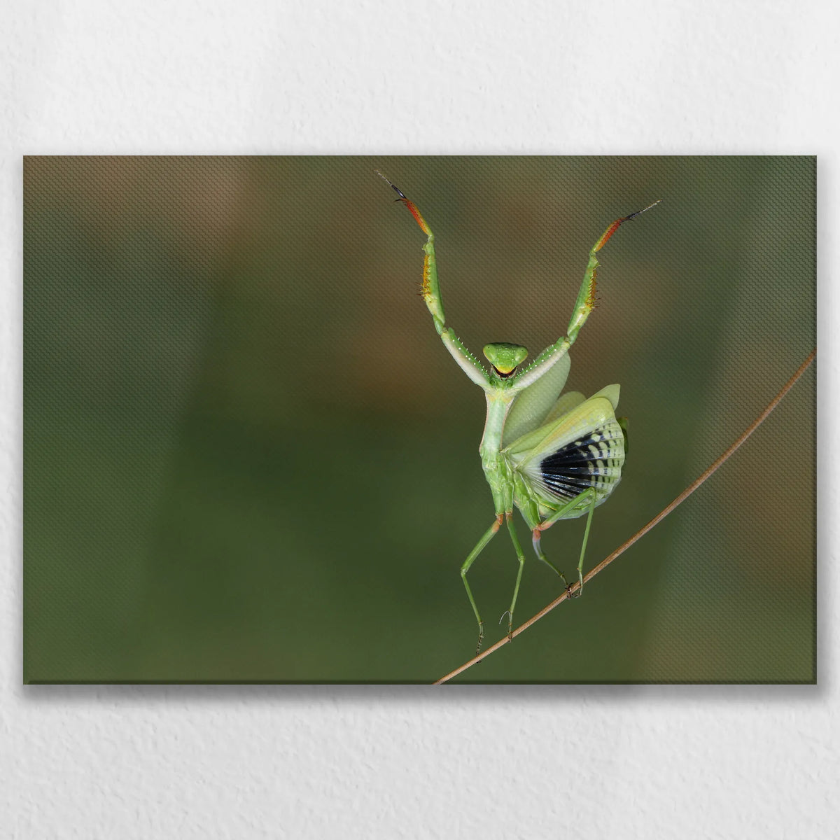 LW-075W050