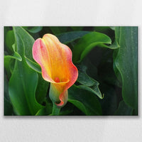 LW-090W060