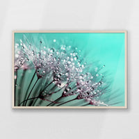 PN-093W062