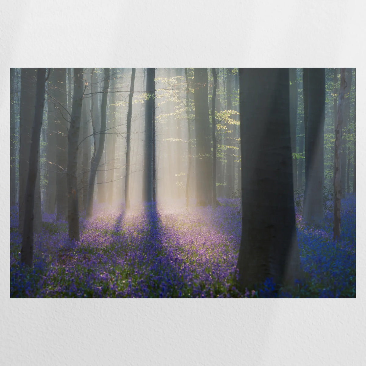 PO-120W080