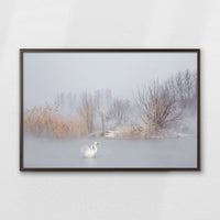LWN100W070