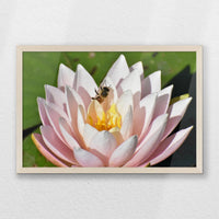 PN-060W040