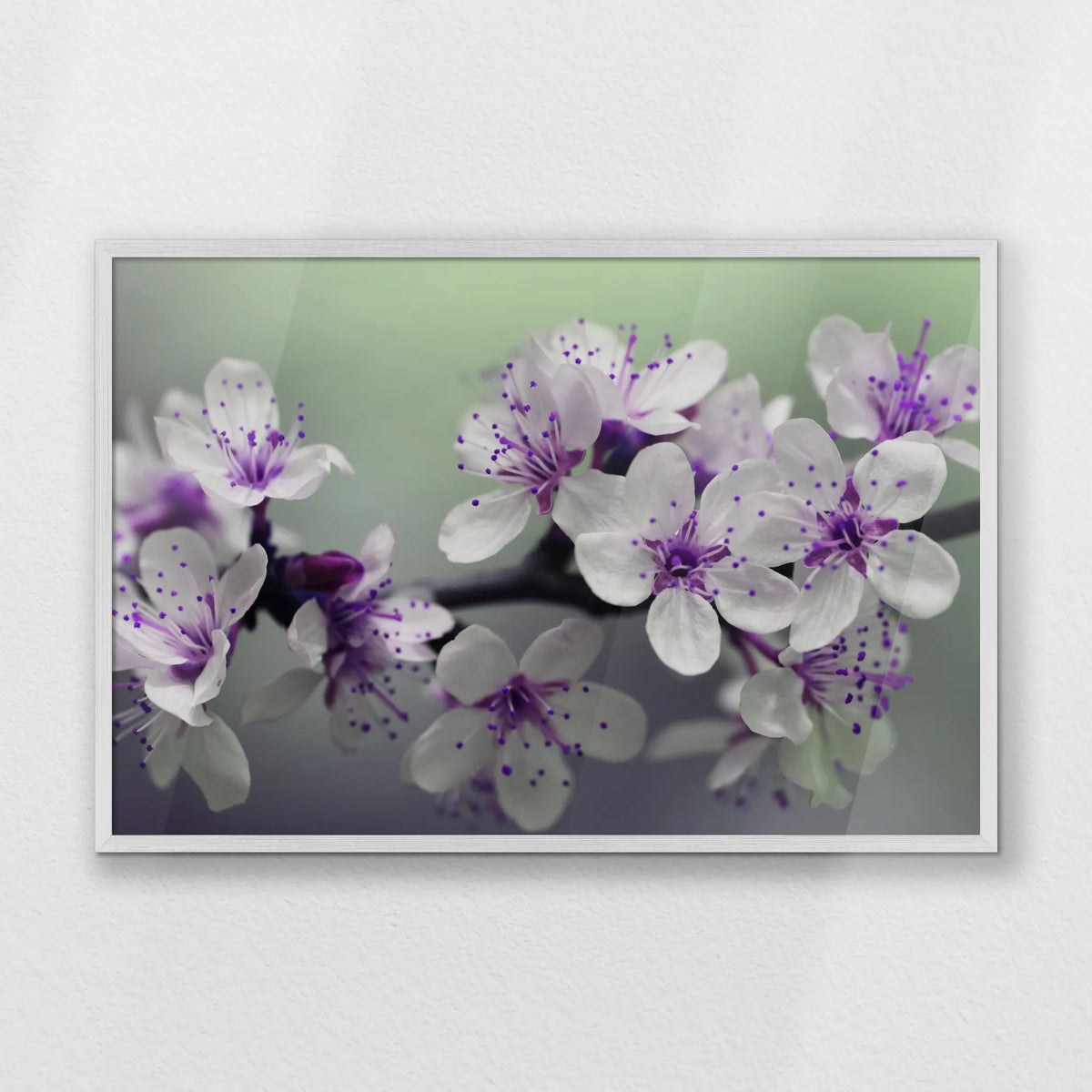 PW-093W062