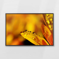 LWN120W080