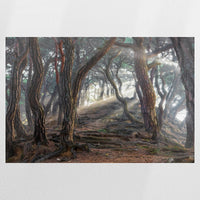 PO-075W050