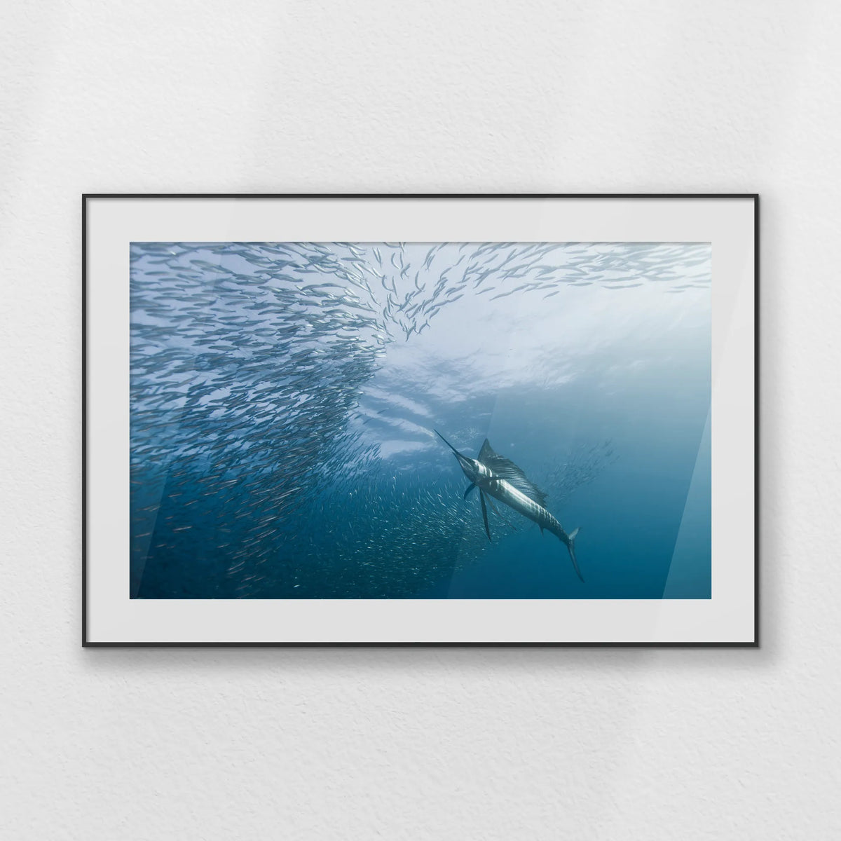 PBP120W080