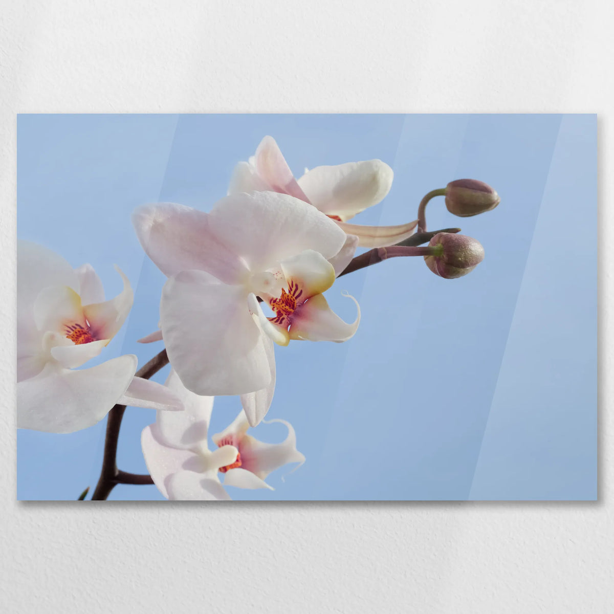 AC-090W060