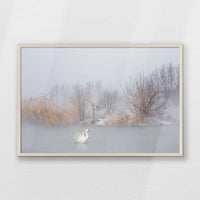 PN-093W062