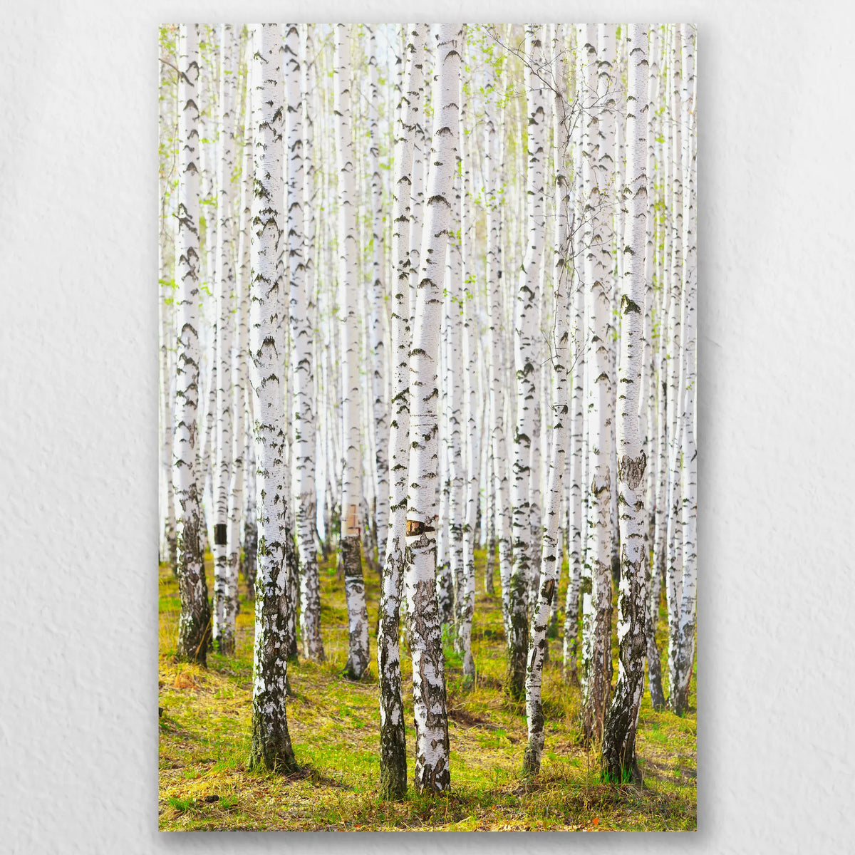 AC-030W045