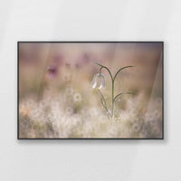 PB-100W070