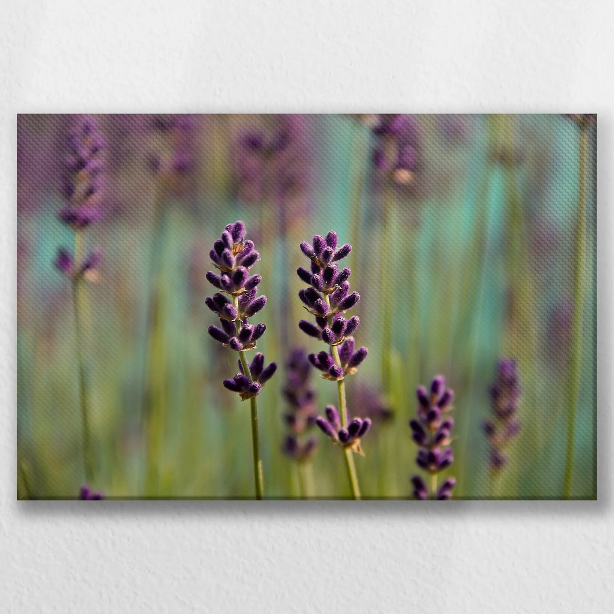 LW-045W030