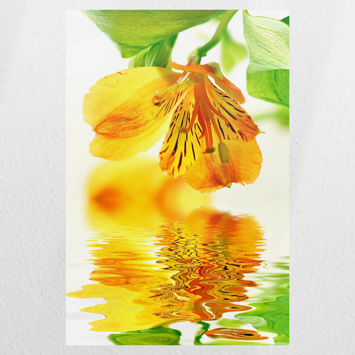 PO-040W060