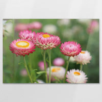 AL-120W080
