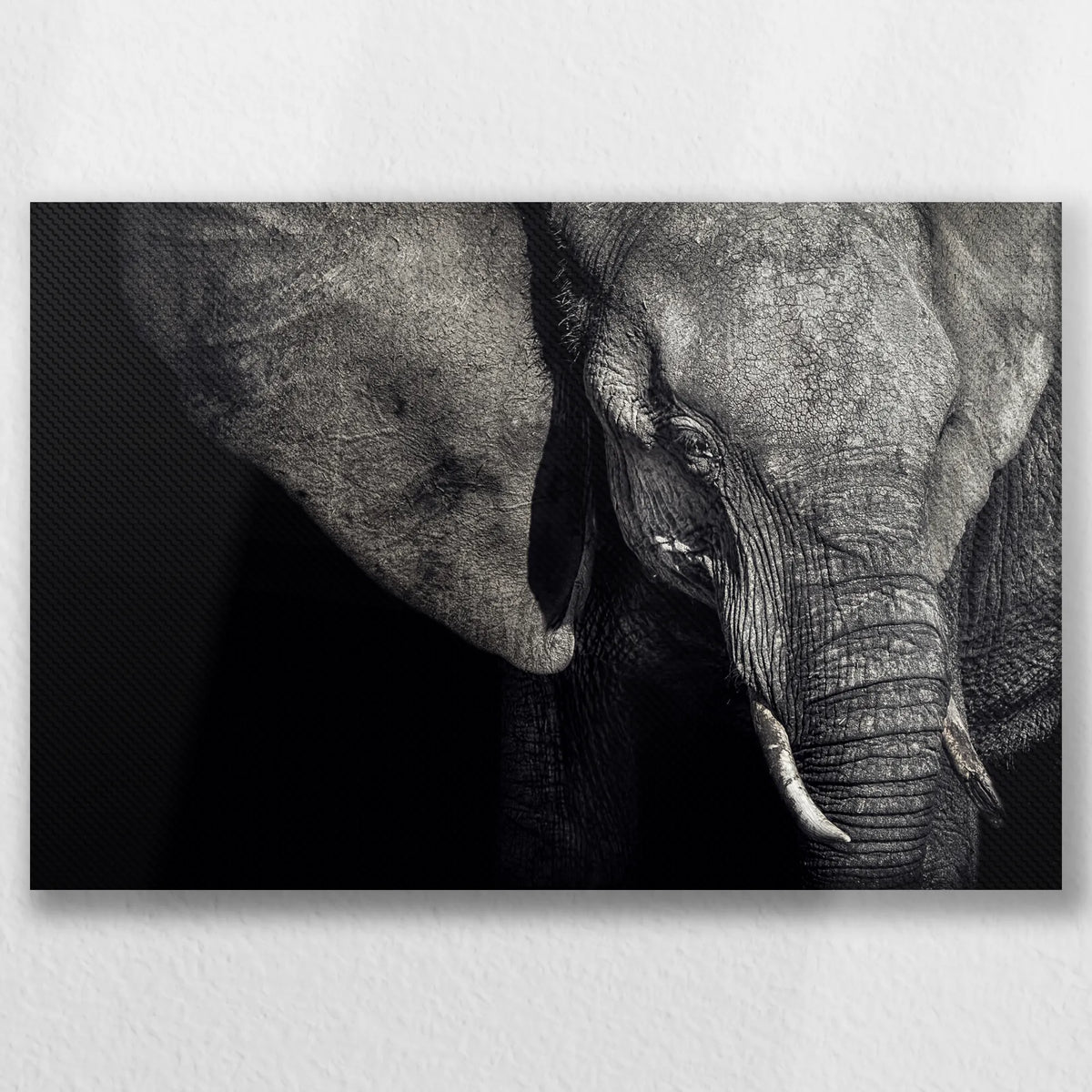 LW-045W030